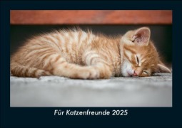 Cover-Bild zum Titel 'Für Katzenfreunde 2025 Fotokalender DIN A5' von 'Tobias Becker'