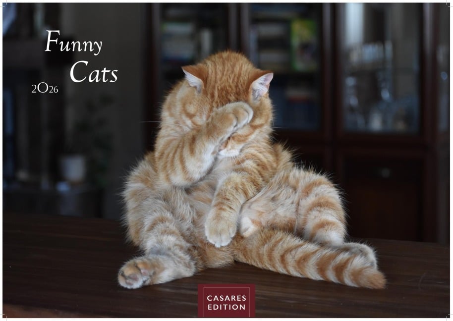 Funny Cats Kalender 2026 - Wandkalender | Fotokalender Tierkalender 35x50cm - Witziger Katzenkalender - 