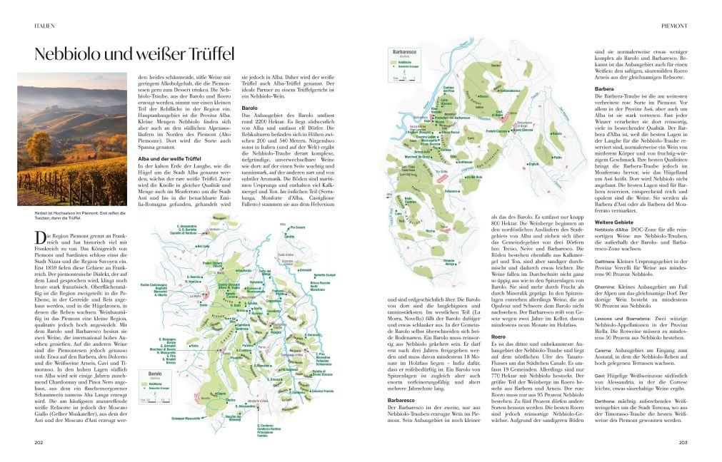 InsideView 13