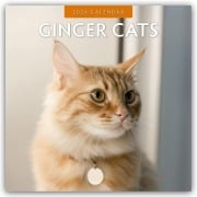Ginger Cats - Rote Katzen - Gingerkatzen 2026 - 16-Monatskalender - Robin Red