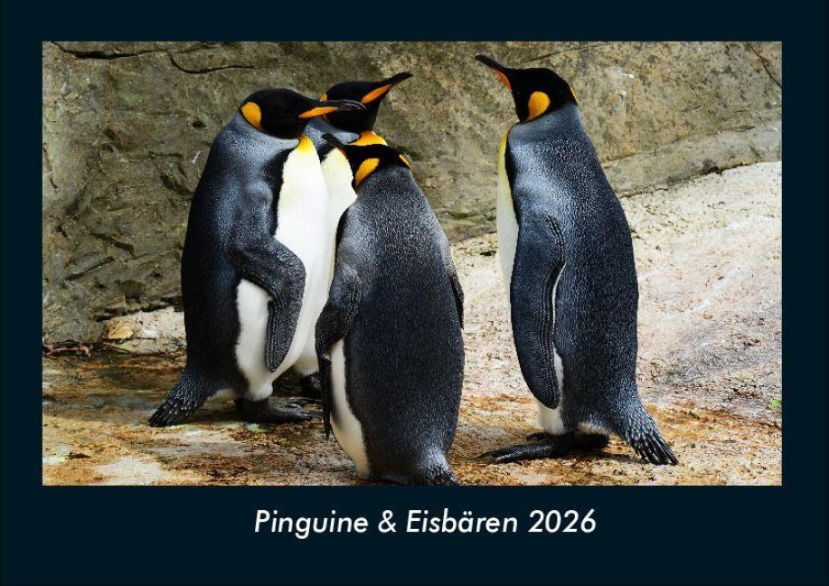 Pinguine & Eisbären 2026 Fotokalender DIN A4 - Tobias Becker