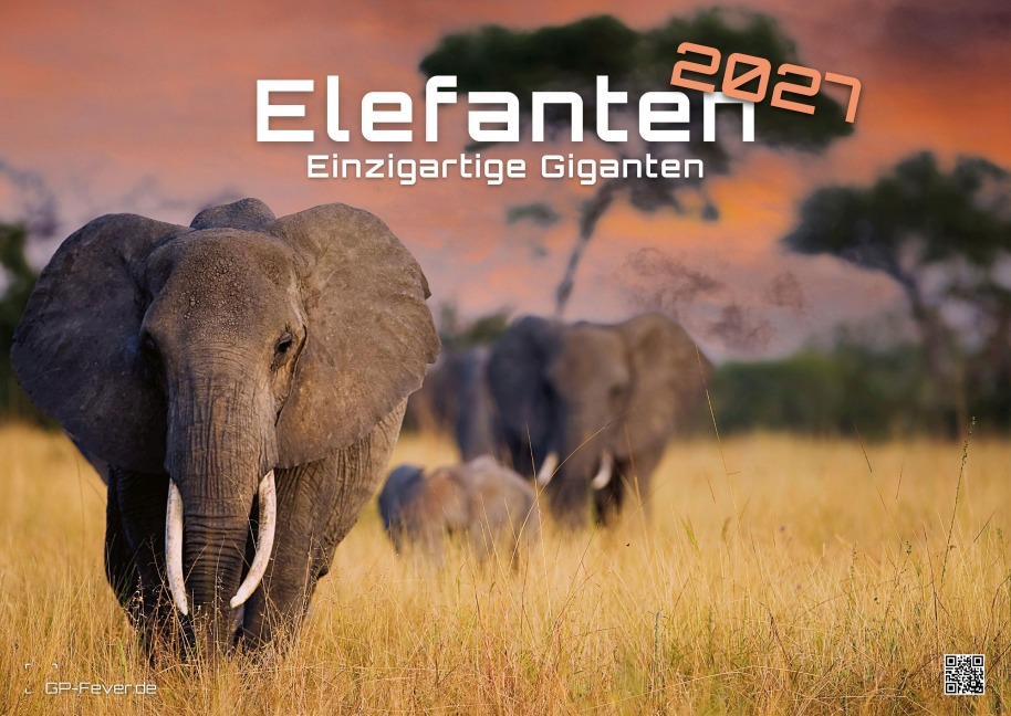 Elefanten - einzigartige Giganten - 2027 - Kalender DIN A2 - 