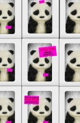 Cover-Bild zum Titel 'Little Eyes' von 'Samanta Schweblin'