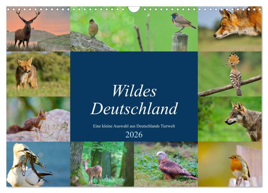 Wildes Deutschland (Wandkalender 2026 DIN A3 quer), CALVENDO Monatskalender - Andreas"aFriend" Freund