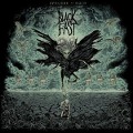 Cover-Bild zum Titel 'Spectre Of Ruin' von 'Black Fast'