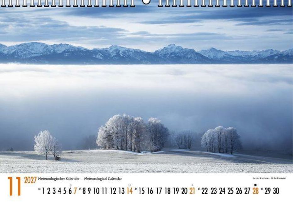 InsideView 11