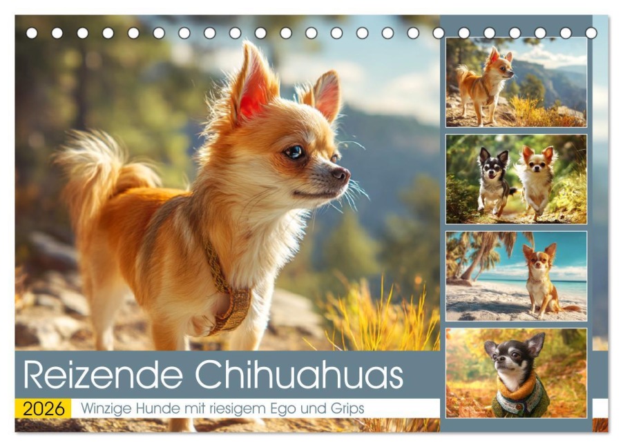 Reizende Chihuahuas. Winzige Hunde mit riesigem Ego und Grips (Tischkalender 2026 DIN A5 quer), CALVENDO Monatskalender - Rose Hurley