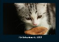 Für Katzenfreunde 2022 Fotokalender DIN A4 - Tobias Becker