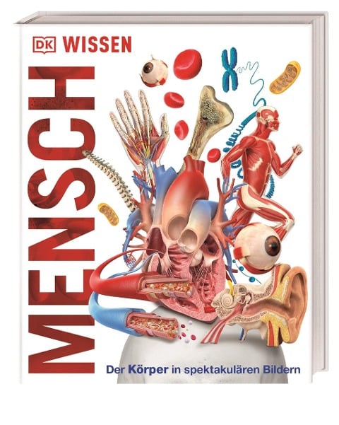 Wissen - Mensch - 