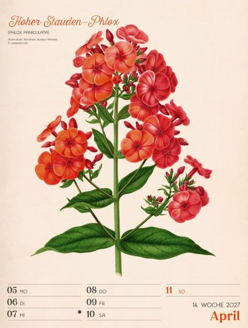 InsideView 18