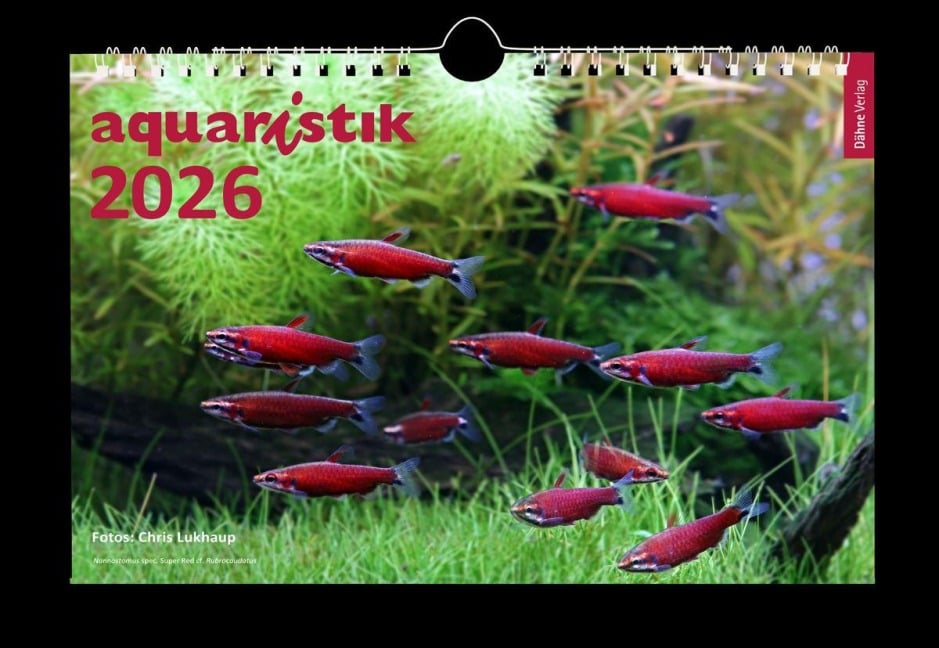 aquaristik 2026 - Chris Lukhaup