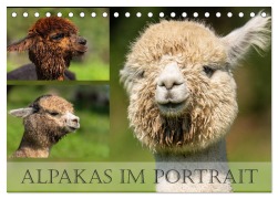 Cover-Bild zum Titel 'Alpakas im Portrait (Tischkalender 2026 DIN A5 quer), CALVENDO Monatskalender' von 'Monika Scheurer'