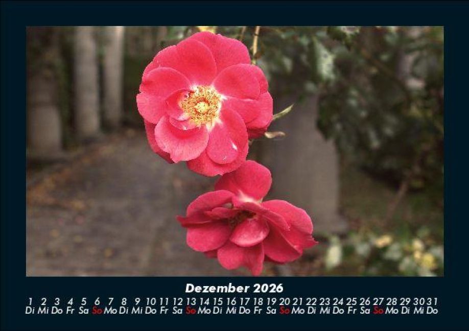 InsideView 4