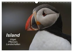 Island: Vögel, Pflanzen, Landschaften (Wandkalender 2025 DIN A3 quer), CALVENDO Monatskalender - Leon Uppena