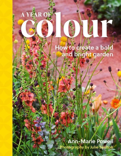 A Year of Colour - Ann-Marie Powell