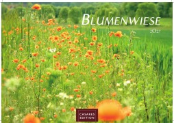 Cover-Bild zum Titel 'Blumenwiese Kalender 2027 - Wandkalender | Fotokalender Naturkalender 24x35cm | Wunderschöne Fotos der blühenden Natur' von ''