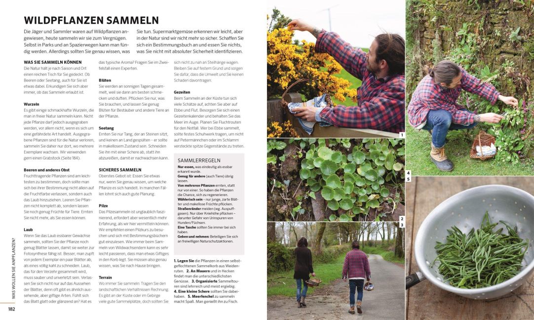 InsideView 7