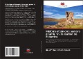 Cover-Bild zum Titel 'Histoire et savoirs aymara pour la revitalisation de l'identité' von 'Henry-Mark Vilca-Apaza'
