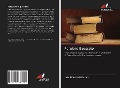 Cover-Bild zum Titel 'Forgiare il passato' von 'Lars Riber Kristensen'