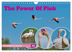 Cover-Bild zum Titel 'The Power Of Pink (Wandkalender 2026 DIN A4 quer), CALVENDO Monatskalender' von 'Andreas Freund'