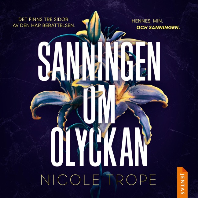 Sanningen om olyckan - Nicole Trope