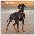 Dobermann 2025 - 16-Monatskalender - Avonside Publishing Ltd