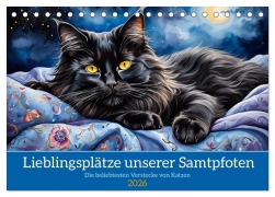 Cover-Bild zum Titel 'Lieblingsplätze unserer Samtpfoten (Tischkalender 2026 DIN A5 quer), CALVENDO Monatskalender' von 'Claudia Kleemann'
