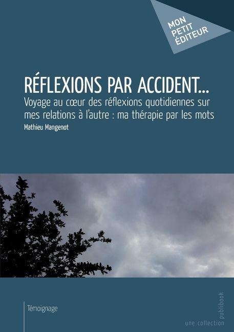 Réflexions par accident... - Mathieu Mangenot