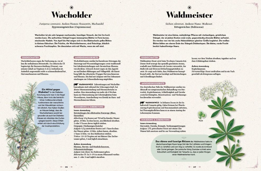 InsideView 8