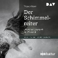 Cover-Bild zum Titel 'Der Schimmelreiter' von 'Theodor Storm'