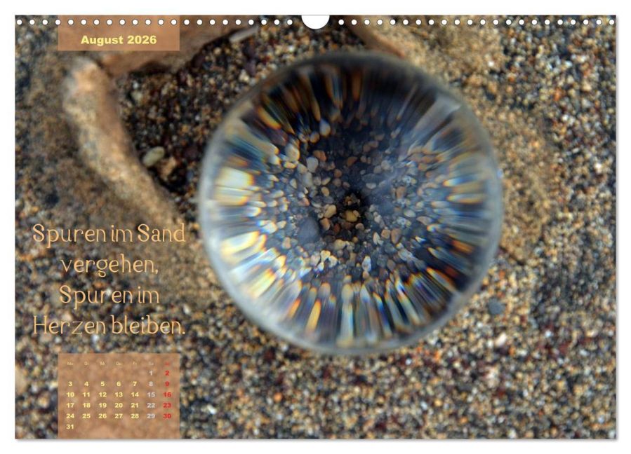 InsideView 13
