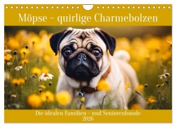 Cover-Bild zum Titel 'Möpse - quirlige Charmebolzen (Wandkalender 2026 DIN A4 quer), CALVENDO Monatskalender' von 'Claudia Kleemann'