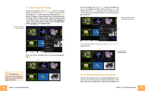 InsideView 5