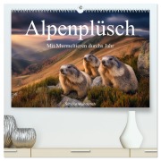 Cover-Bild zum Titel 'Alpenplüsch - Mit Murmeltieren durchs Jahr (hochwertiger Premium Wandkalender 2026 DIN A2 quer), Kunstdruck in Hochglanz' von 'Simone Wunderlich'