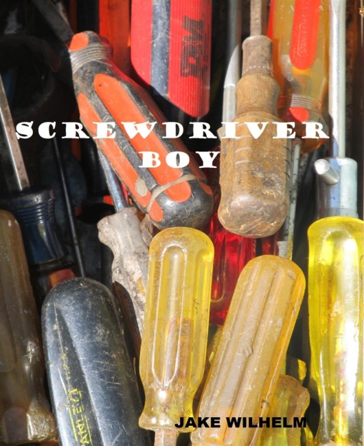 Screwdriver Boy - Jake Wilhelm