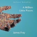 Cover-Bild zum Titel 'A Million Little Pieces Lib/E' von 'James Frey'
