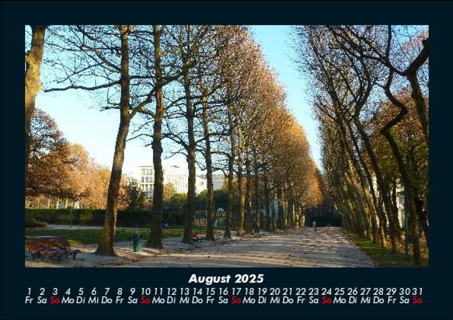 InsideView 12