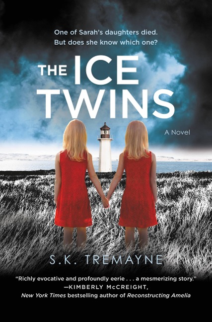 The Ice Twins - S K Tremayne
