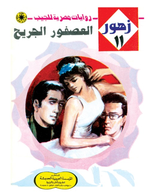 The wounded bird - Nabil Farouk