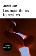 Cover-Bild zum Titel 'Les nourritures terrestres' von 'André Gide'