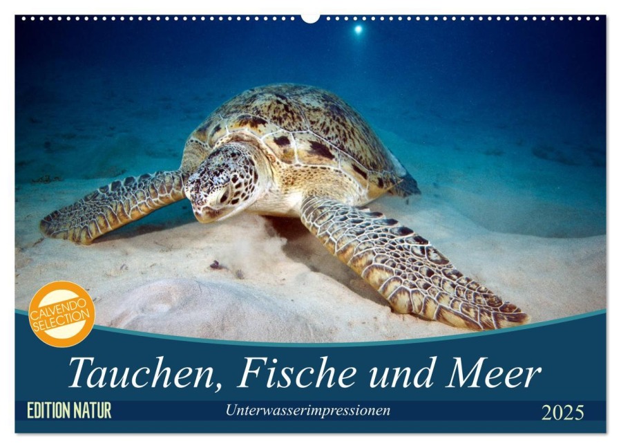Tauchen, Fische und Meer (Wandkalender 2025 DIN A2 quer), CALVENDO Monatskalender - Sven Gruse