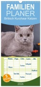 Cover-Bild zum Titel 'Familienplaner 2026 - Britisch Kurzhaar Katzen mit 5 Spalten (Wandkalender, 21 x 45 cm) CALVENDO' von 'Gabriela Wejat-Zaretzke'