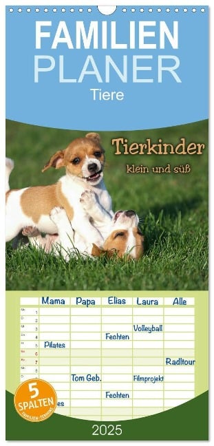 Familienplaner 2025 - Tierkinder klein und süß mit 5 Spalten (Wandkalender, 21 x 45 cm) CALVENDO - Berit Seiboth