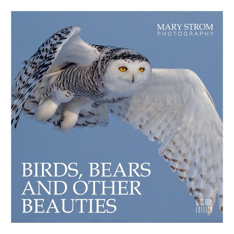 Birds, Bears and other Beauties - Mary Strom