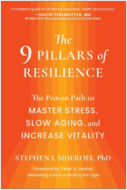 The 9 Pillars of Resilience - Stephen I. Sideroff