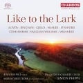 Cover-Bild zum Titel 'Like to the Lark' von 'Pike/Forsström/Phipps/The Swedish Chamber Choir'