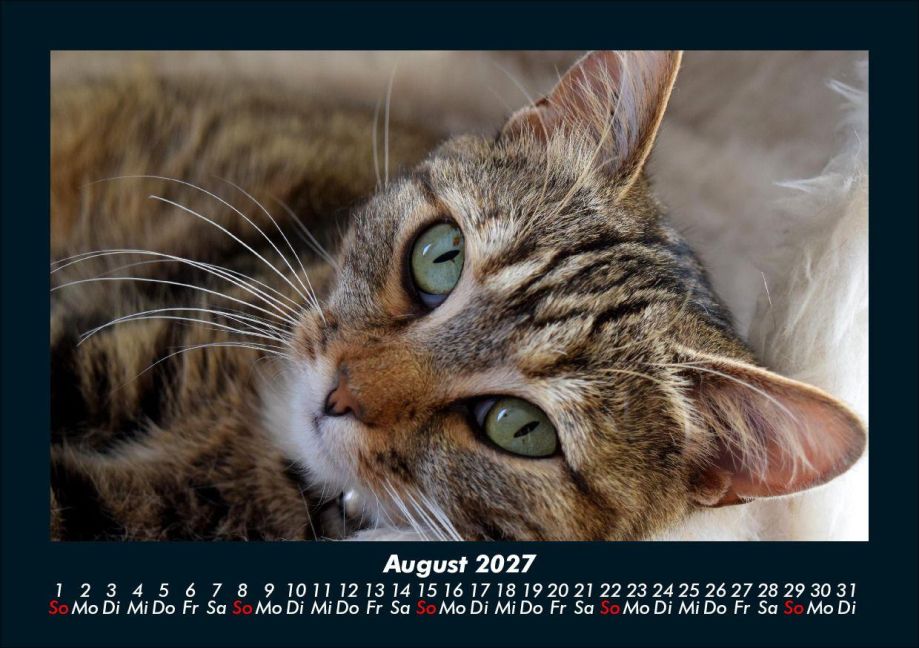 InsideView 12