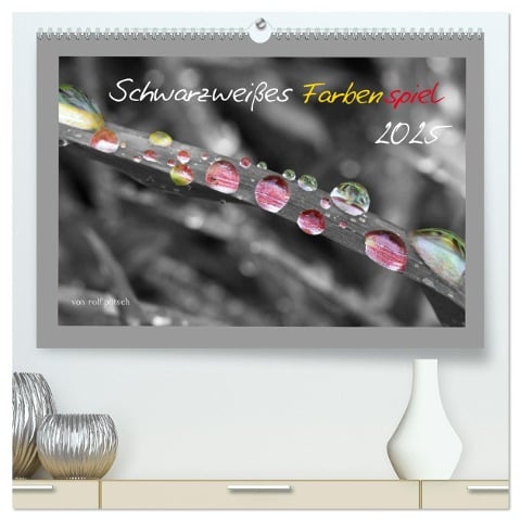 Schwarzweißes Farbenspiel 2025 (hochwertiger Premium Wandkalender 2025 DIN A2 quer), Kunstdruck in Hochglanz - Rolf Pötsch