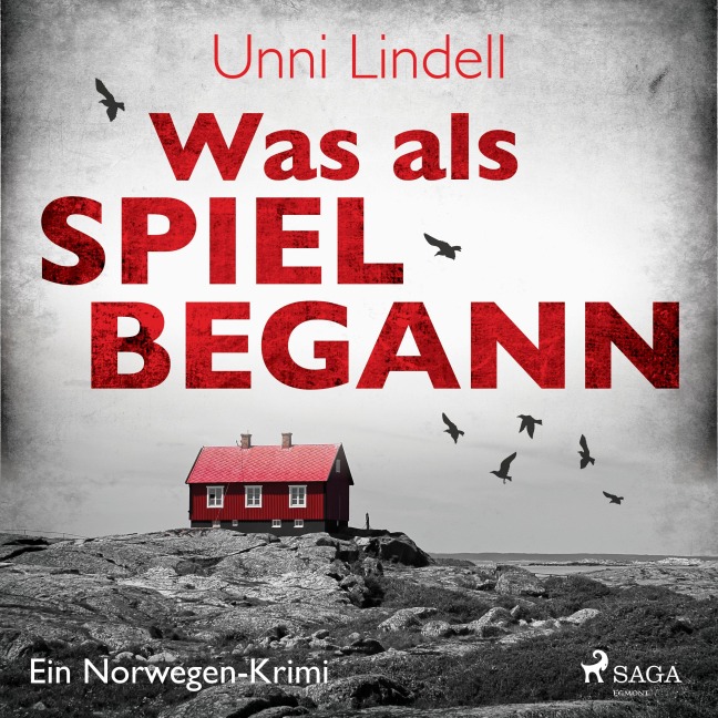 Was als Spiel begann - Ein Norwegen-Krimi - Unni Lindell