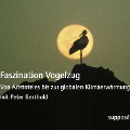 Cover-Bild zum Titel 'Faszination Vogelzug' von 'Peter Berthold, Klaus Sander'